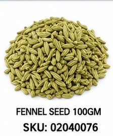 FENNEL SEED 100GM