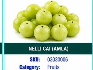 NELLI CAI ( AMLA )