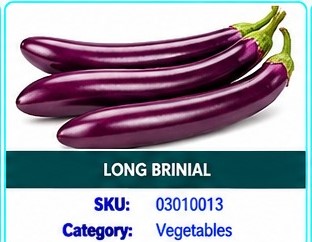 LONG BRINJAL